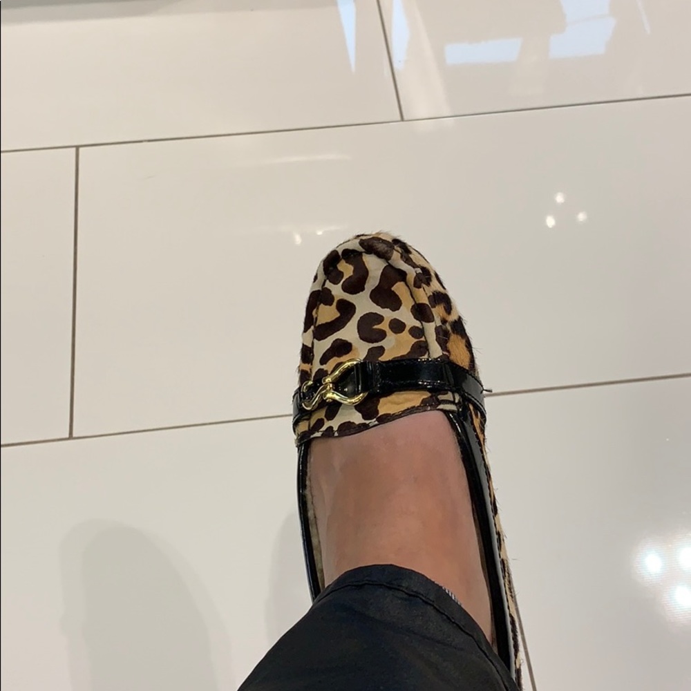 Meet your Posher, Sandy